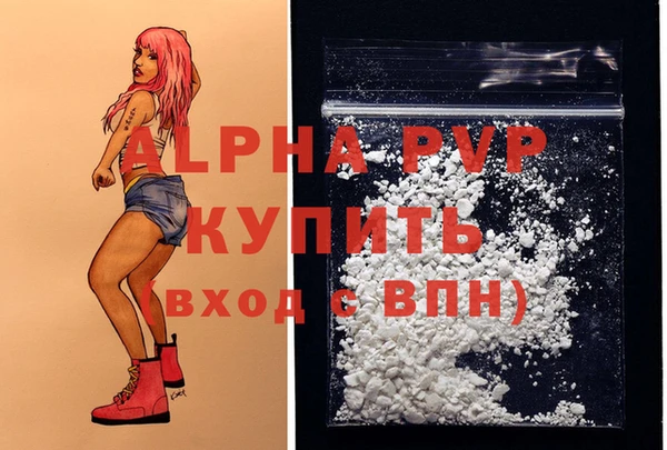 стафф Михайловск