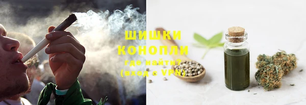 стафф Михайловск