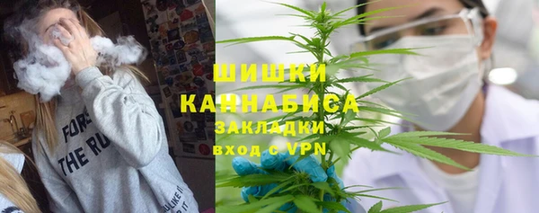 стафф Михайловск