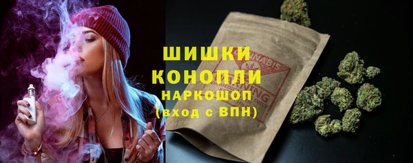 spice Медногорск