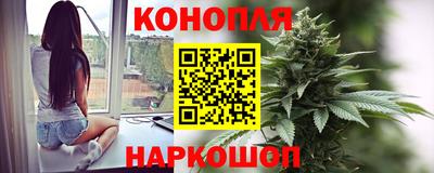 гидропоника Кингисепп