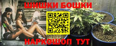 гидропоника Кингисепп