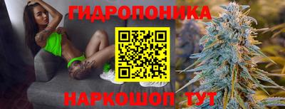 мяу мяу мука Будённовск