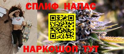 гидропоника Кингисепп
