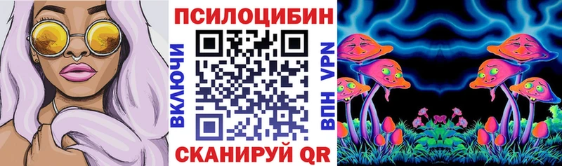 закладка  Лосино-Петровский  Псилоцибиновые грибы мицелий 