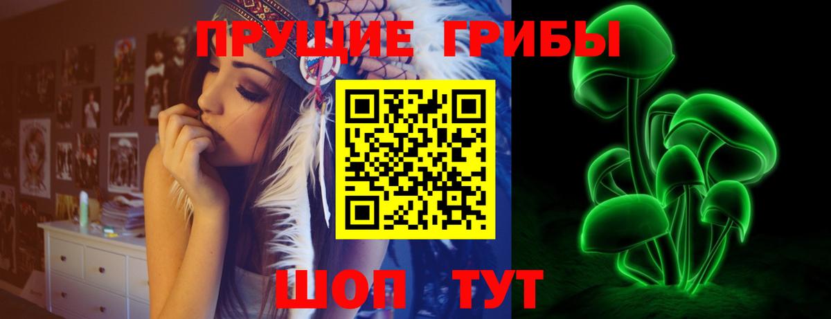 Псилоцибиновые грибы прущие грибы  купить закладку  Вход с VPN  Лосино-Петровский  Псилоцибиновые грибы прущие грибы 